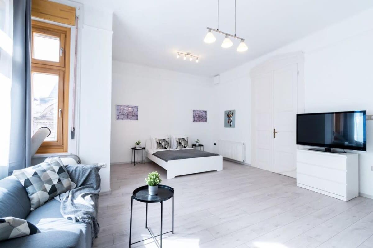 Spacious And Comfy Very Apartment